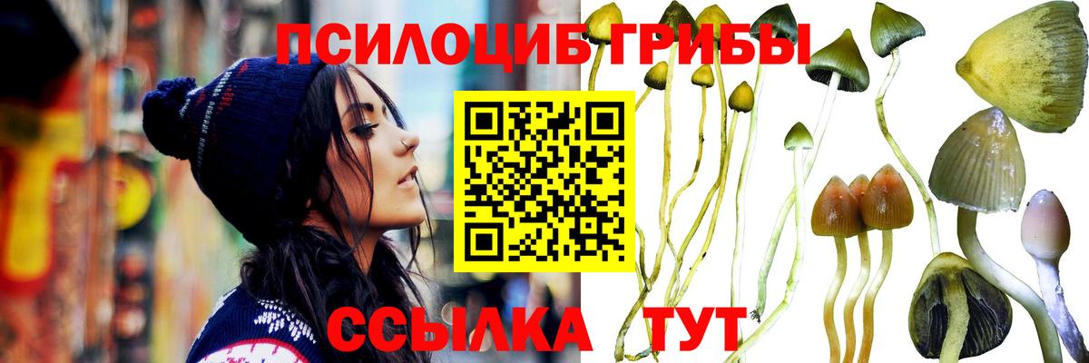 Кировск  Псилоцибиновые грибы GOLDEN TEACHER  Вход с VPN 